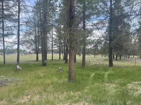 8366 Howard Rd, La Pine, OR 97739 photo 71