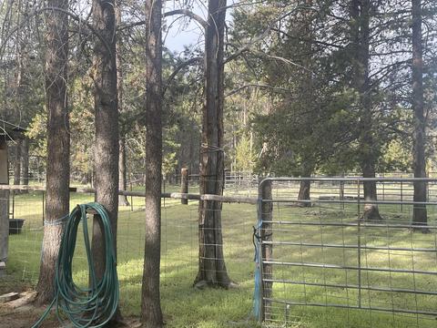 8366 Howard Rd, La Pine, OR 97739 photo 64