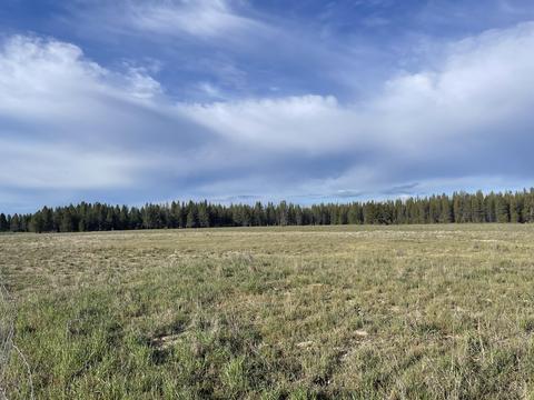 8366 Howard Rd, La Pine, OR 97739 photo 53