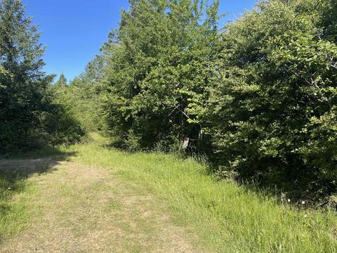 Tl 708 Richardson Gap Road, Lebanon, OR 97355
