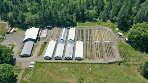 3607 Cedar Flat Rd, Williams, OR 97544
