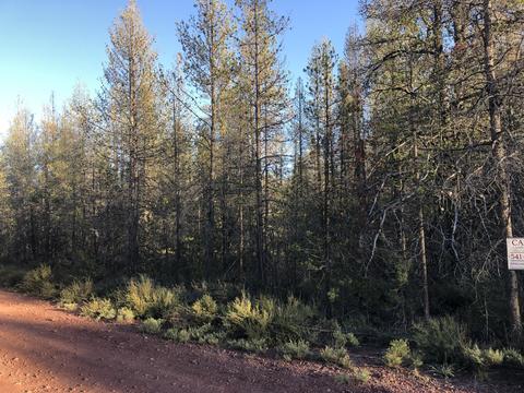 Lot 24 Priday Loop, Chiloquin, OR 97624