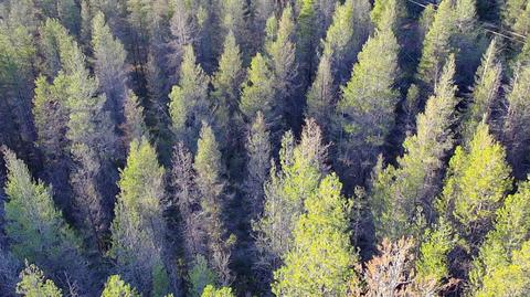 Lot 24 Priday Loop, Chiloquin, OR 97624 photo 3