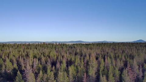 Lot 24 Priday Loop, Chiloquin, OR 97624 photo 4