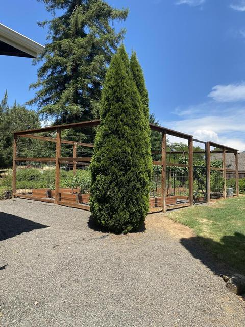 619 3rd St, Rogue River, OR 97537 photo 20