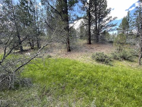 Tl 2802 Hwy 140, Lakeview, OR 97630