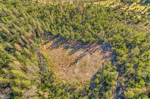 0 Butte Falls Hwy, Eagle Point, OR 97524 photo 12