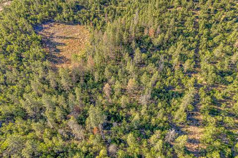 0 Butte Falls Hwy, Eagle Point, OR 97524 photo 16