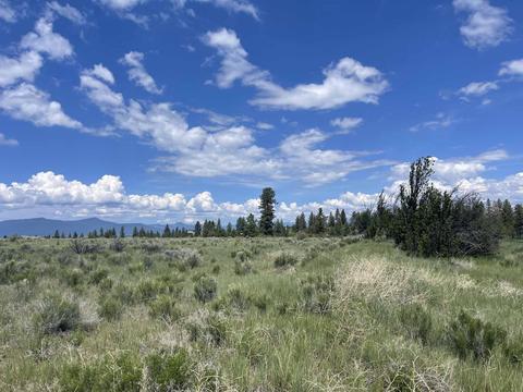 Oregon Shores Drive Lot 2, Chiloquin, OR 97624