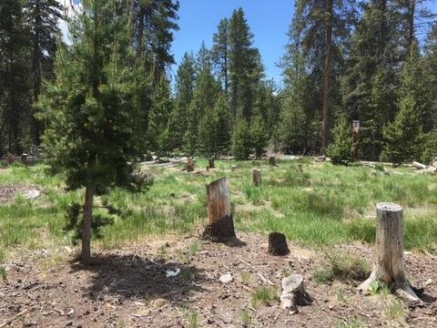 Tl 9400 Scott View Drive, Chiloquin, OR 97624