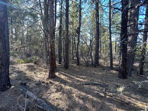 lot3 Cuscus Ln, Bonanza, OR 97623
