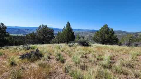 SE Cotton Tail Lane Se, Prineville, OR 97754
