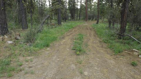 Zebu Lane, Bonanza, OR 97623