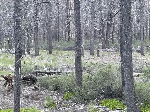 Lot 23 Priday Loop, Chiloquin, OR 97624 photo 12