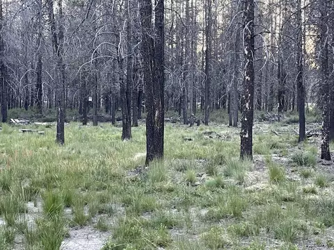 Lot 23 Priday Loop, Chiloquin, OR 97624 photo 3