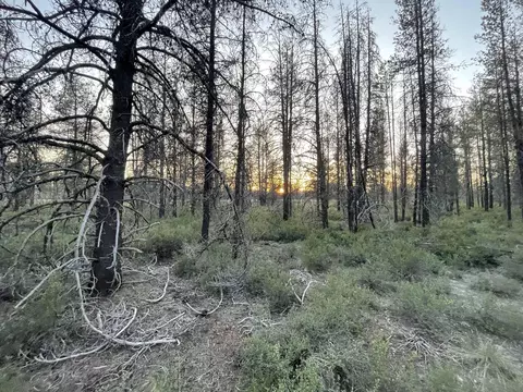 Lot 23 Priday Loop, Chiloquin, OR 97624 photo 19