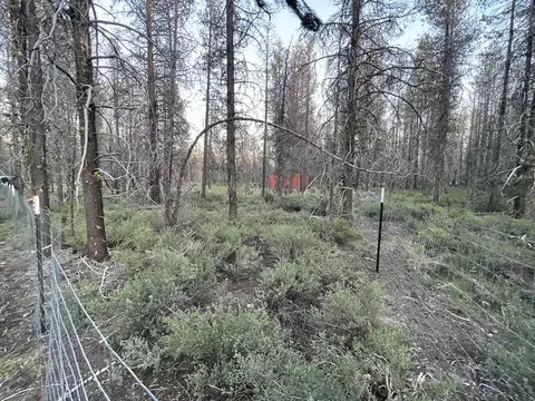 Lot 23 Priday Loop, Chiloquin, OR 97624 photo 20