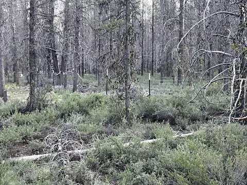 Lot 23 Priday Loop, Chiloquin, OR 97624 photo 15