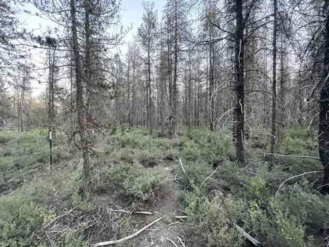 Lot 23 Priday Loop, Chiloquin, OR 97624 photo 16