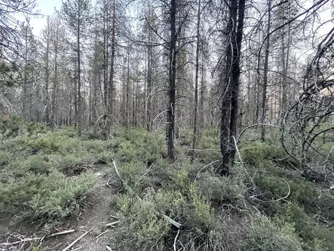 Lot 23 Priday Loop, Chiloquin, OR 97624 photo 17