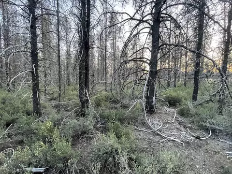 Lot 23 Priday Loop, Chiloquin, OR 97624 photo 18