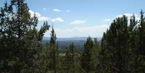 lot55 Thrasher Dr, Bonanza, OR 97623