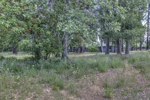 4723 Holland Loop Rd, Cave Junction, OR 97523 photo 36