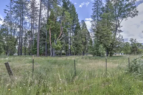 4723 Holland Loop Rd, Cave Junction, OR 97523 photo 34