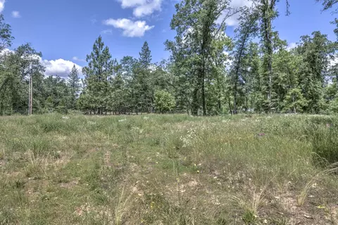 4723 Holland Loop Rd, Cave Junction, OR 97523 photo 51