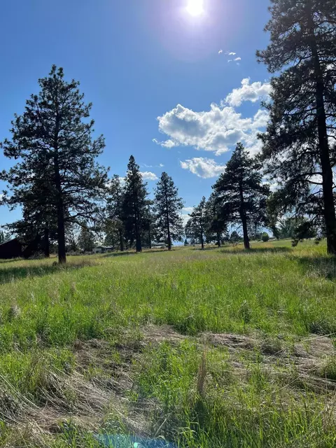 L 12 B 31 Kerry Drive #12, Chiloquin, OR 97624