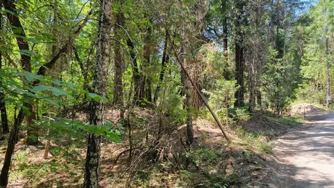 Pleasant Cr Road, Rogue River, OR 97537