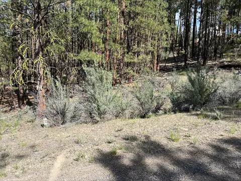 Choptie Drive, Chiloquin, OR 97624