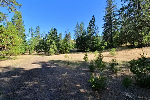 oxyoke road #TL 800, Grants Pass, OR 97526