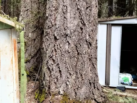 299 Jackadel Ln, Cave Junction, OR 97523 photo 13