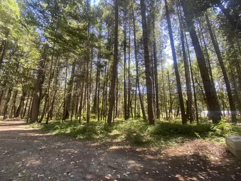 299 Jackadel Ln, Cave Junction, OR 97523 photo 22