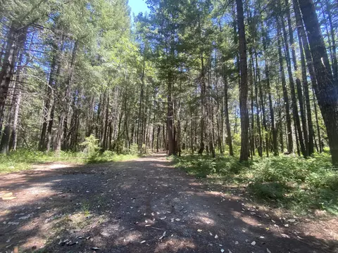 299 Jackadel Ln, Cave Junction, OR 97523 photo 18
