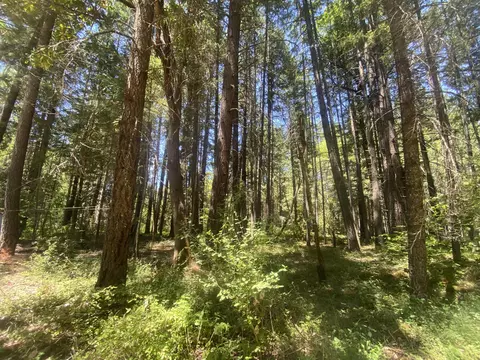 299 Jackadel Ln, Cave Junction, OR 97523 photo 20