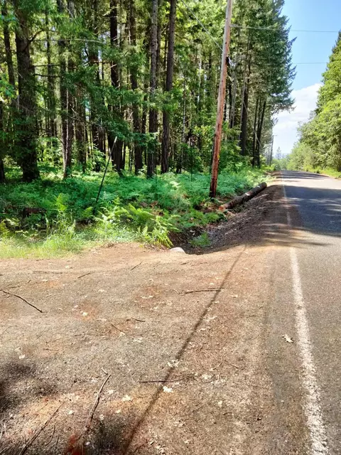 299 Jackadel Ln, Cave Junction, OR 97523 photo 15