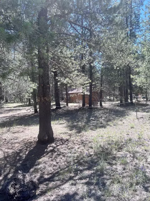 52875 Wayside Loop, La Pine, OR 97739 photo 2