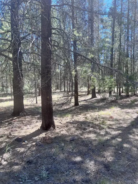 52875 Wayside Loop, La Pine, OR 97739 photo 6