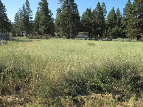 Sundance Drive, Chiloquin, OR 97624