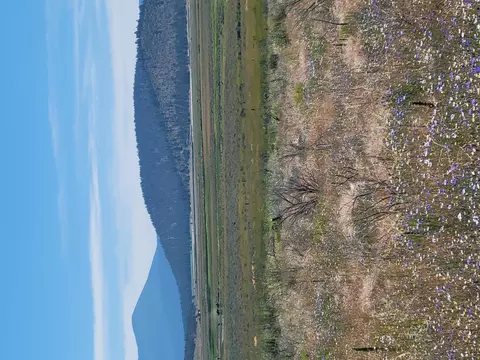 Drews Ranch Rd Lot 7, Beatty, OR 97621