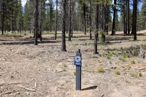 Preservation Loop, Bend, OR 97707