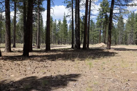 Preservation Loop, Bend, OR 97707 photo 3