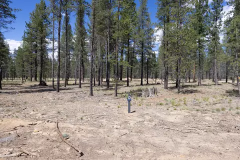 Preservation Loop, Bend, OR 97707 photo 2