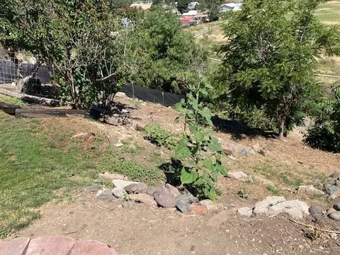 313 E Main St, John Day, OR 97845 photo 25