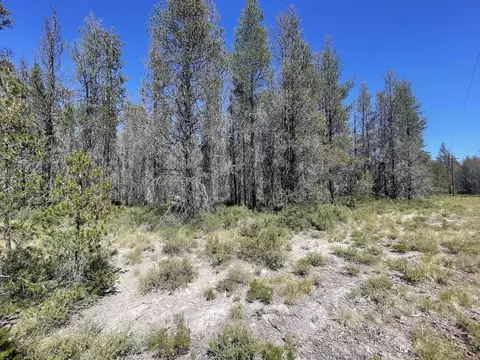 Priday Loop Lot 16, Chiloquin, OR 97624 photo 3