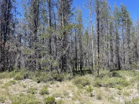 Priday Loop Lot 16, Chiloquin, OR 97624 photo 9
