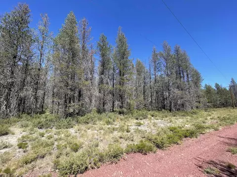 Priday Loop Lot 16, Chiloquin, OR 97624 photo 5