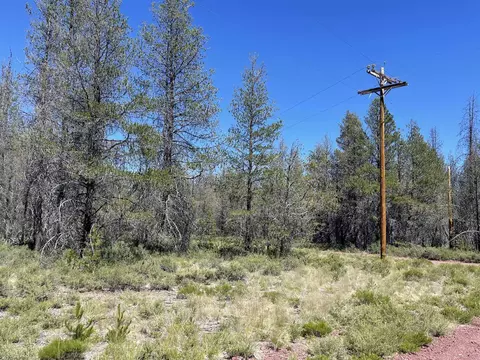 Priday Loop Lot 16, Chiloquin, OR 97624 photo 11